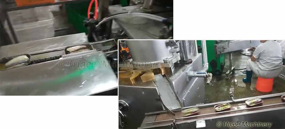 fish filling and seaming machine-4